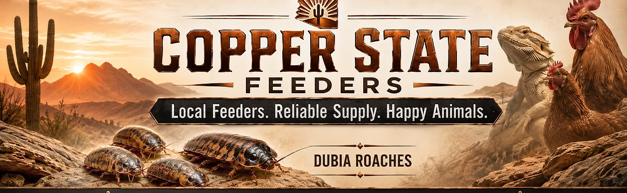Copper State Feeders dubia roaches in the Arizona desert